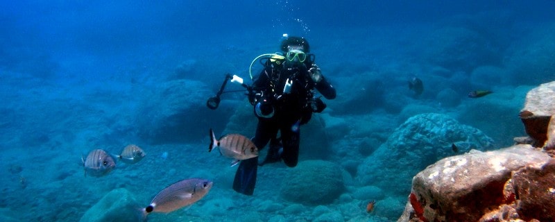 ocean ativities in madeira island best